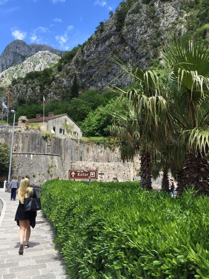 Kotor