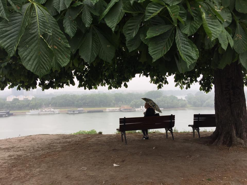 Sava-joki Kalemegdanin linnoitukselta nähtynä.