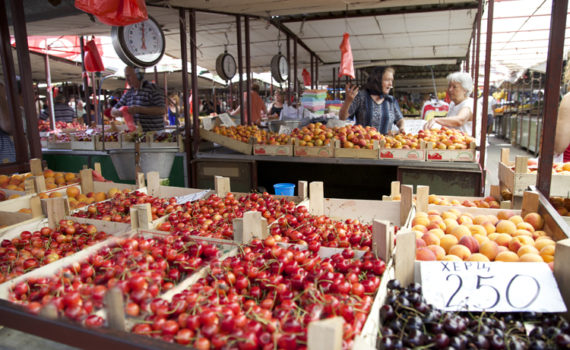 Tori Banevo Brdo Belgrad Serbia