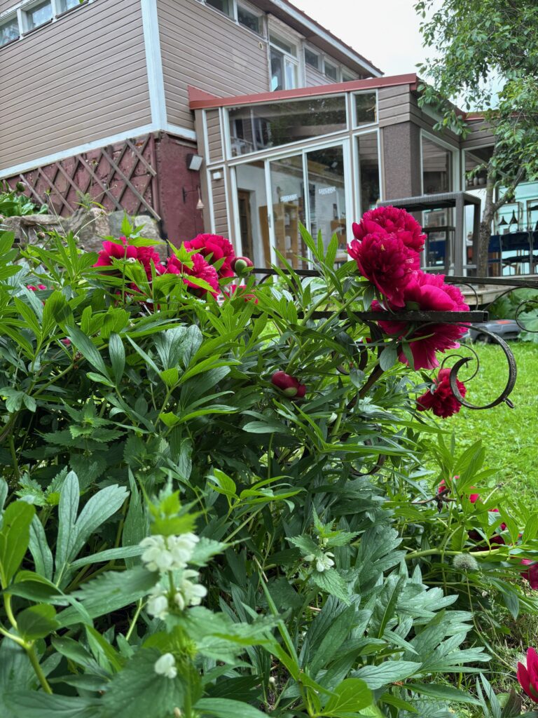 Savilinna Clay Studio in Porvoo